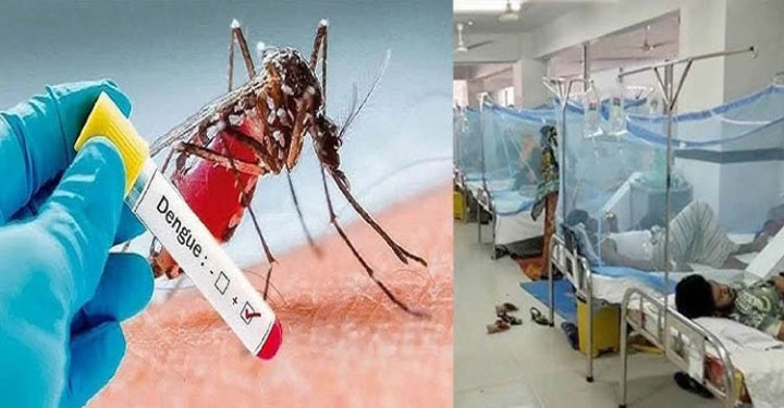 সিলেটে বাড়ছে ডেঙ্গু প্রকোপ, আক্রান্ত ৬৩