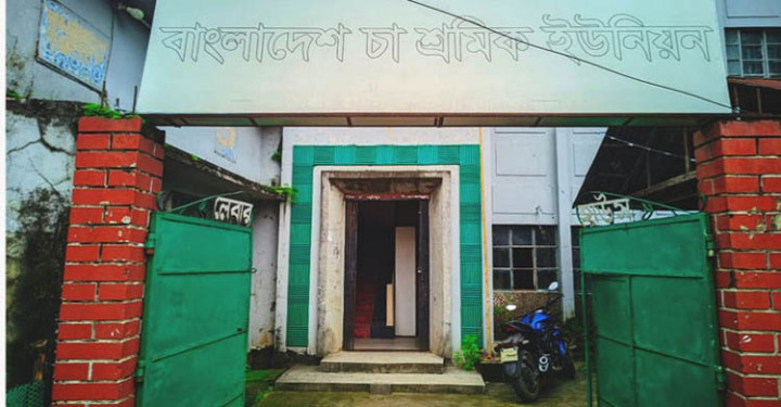 মৌলভীবাজারে প্রায় এক দশক ধরে নির্বাচন নেই চা-শ্রমিক ইউনিয়নের