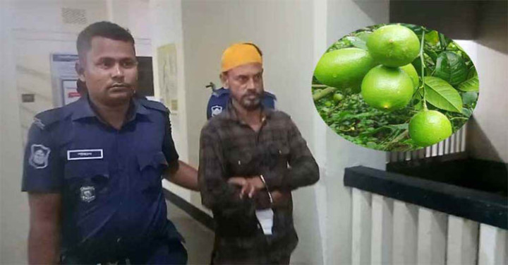 সুনামগঞ্জে তরুণীকে ধর্ষণচেষ্টা অভিযোগে গ্রেফতার