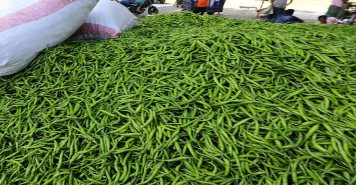 কাঁচামরিচের কেজি ছাড়ালো ৩০০ টাকা
