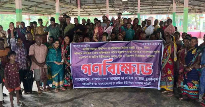 শ্রীমঙ্গলে শ্রমিক ইউনিয়নের নির্বাচনের দাবিতে গণবিক্ষোভ