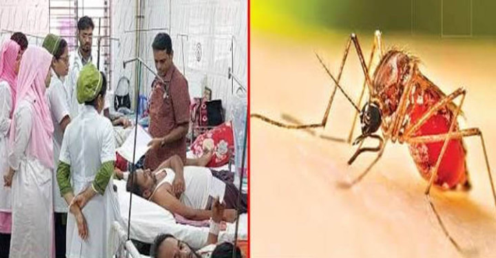সিলেটে বাড়ছে ডেঙ্গুর প্রকোপ ৪ জন শনাক্ত, আক্রান্ত ১০৯