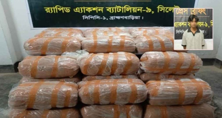 মাটির নিচে ‘গাঁজার খনি’, ২৬৪ কেজিসহ আটক ১