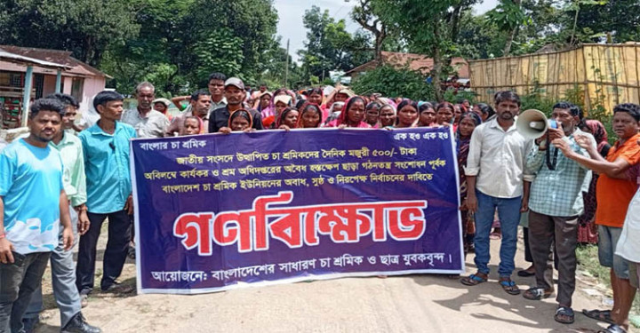 মৌলভীবাজারে চা শ্রমিকদের গণবিক্ষোভ, দাবি বাস্তবায়ন না হলে আন্দোলনের হুঁশিয়ারি