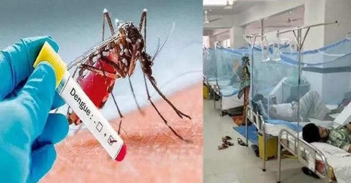 সিলেটে বাড়ছে ডেঙ্গুর সংক্রমণ, আক্রান্ত ১৩১ জন