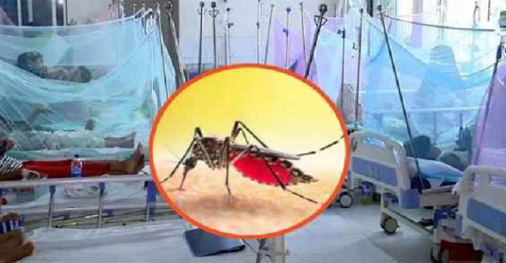 ডেঙ্গুতে আরও ২ জনের মৃত্যু, হাসপাতালে ভর্তি ৭২৩