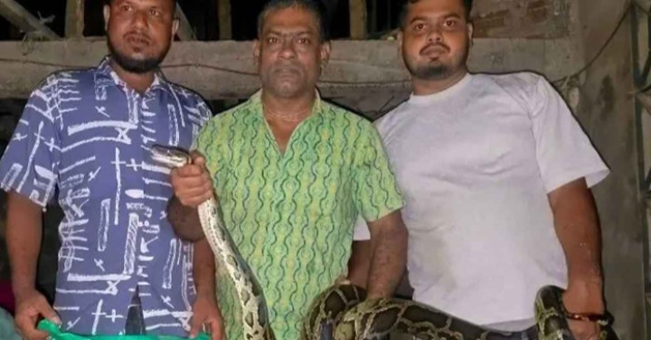 মৌলভীবাজারে বসত ঘর থেকে ১২ ফুট লম্বা অজগর উদ্ধার