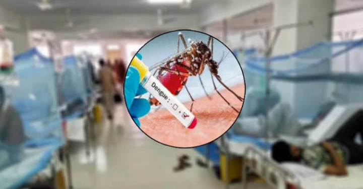 ডেঙ্গুতে ৩ জনের মৃত্যু, হাসপাতালে ভর্তি ৮০৫