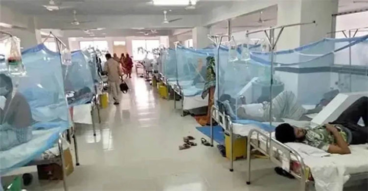 ডেঙ্গুতে প্রাণ গেল আরও ৩ জনের, হাসপাতালে ভর্তি ৭৫৩ 