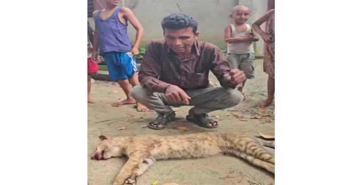 সিলেটে মেছো বাঘ পিটিয়ে হত্যা, ভিডিও সামাজিক যোগাযোগমাধ্যমে ছড়ানোর অভিযোগ