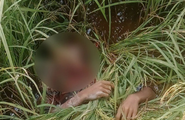 হবিগঞ্জে ধান ক্ষেতে থেকে যুবকের রক্তাক্ত মরদেহ উদ্ধার 
