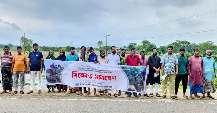 সুনামগঞ্জে ৪ হাজার গাছ কাটার অভিযোগ বন বিভাগের বিরুদ্ধে