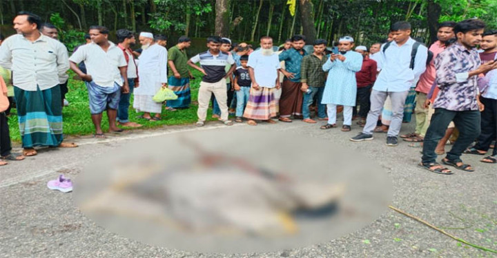 সিলেটে বাসচাপায় মাদরাসাছাত্রী নিহত, আহত ৩