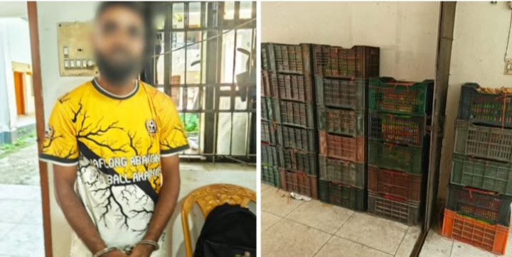 সিলেটে ভারতীয় অবৈধ আম-কিুই জব্দ, আটক যুবক