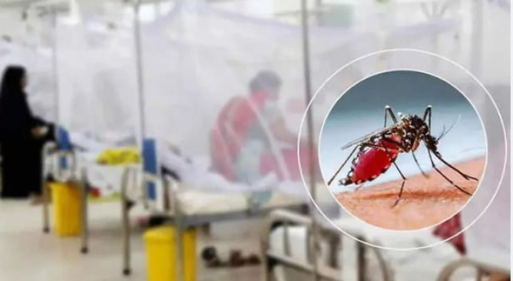 ডেঙ্গুতে আরো ২ জনের মৃত্যু, আক্রান্ত ৯৯৬