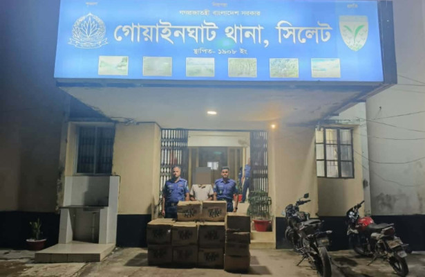 গোয়াইনঘাটে ভারতীয় চোরাই পণ্যসহ যুবক আটক