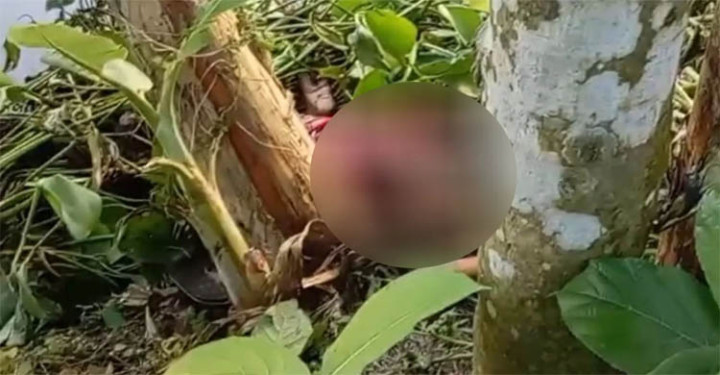 হবিগঞ্জে বড় ভাইয়ের ছুরিকাঘাতে প্রাণ গেল ছোট বোনর
