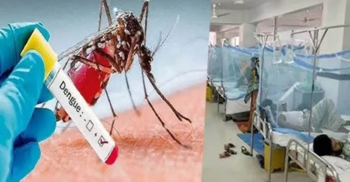 ডেঙ্গুতে আরও পাঁচজনের প্রাণহানি