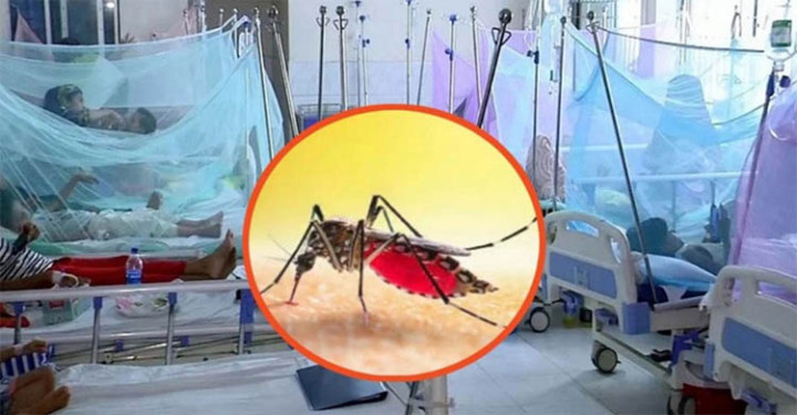 ডেঙ্গুতে আরও ৬ জনের মৃত্যু, হাসপাতালে নতুন ভর্তি ১৫৬১