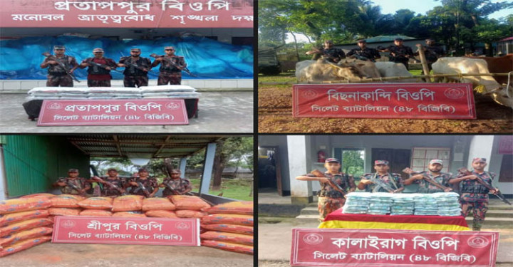সিলেট সীমান্তে ২৩ লাখ টাকার চোরাচালানি মালামাল জব্দ