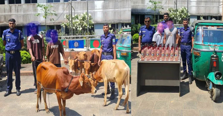মৌলভীবাজারে ভারতীয় গরু ও দেশীয় মদসহ আটক ৪ যুবক
