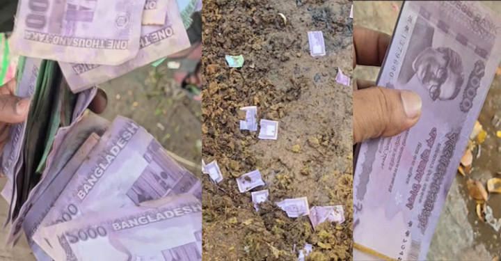 ময়লার ভাগাড়ে ‘টাকার বস্তা’, কুড়িয়ে নিলেন স্থানীয়রা