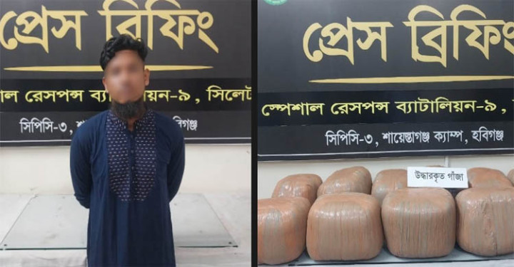 হবিগঞ্জে বিপুল পরিমাণ গাঁজাসহ মাদক ব্যবসায়ী আটক