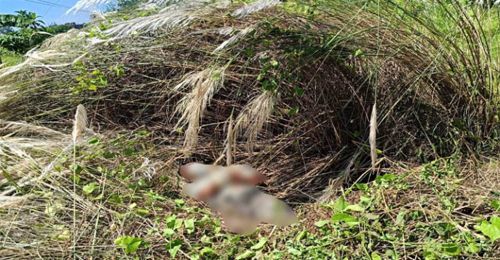 কাশবনে মিলল যুবকের হাত-পা বাঁধা মরদেহ