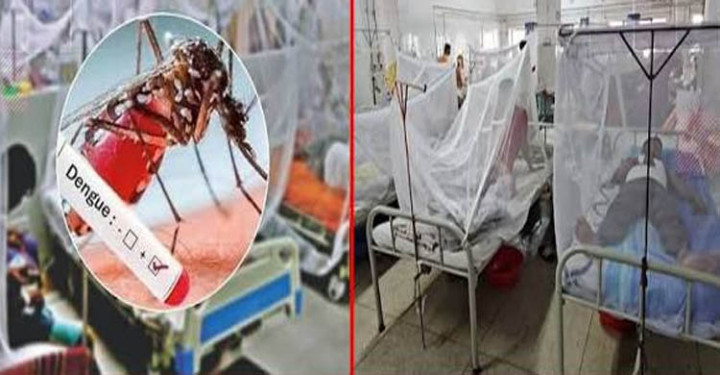 সিলেটে বাড়ছে ডেঙ্গুর প্রকোপ, আক্রান্ত ৩৩৪