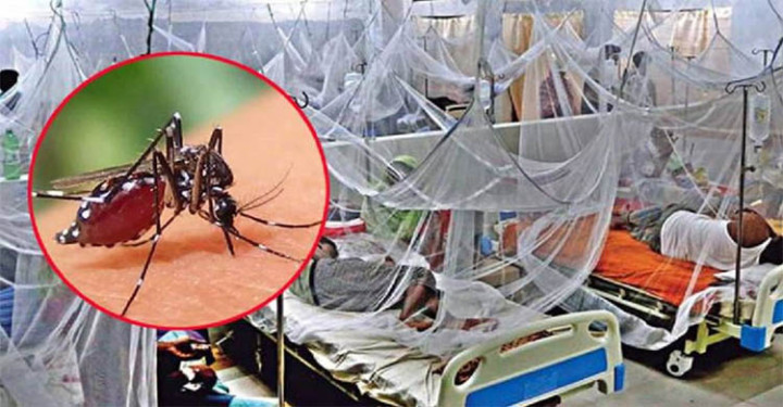 ডেঙ্গুতে আরও ৬ জনের মৃত্যু, হাসপাতালে নতুন ভর্তি ১৬৫৫   