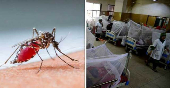 ডেঙ্গুতে ৫ জনের মৃত্যু