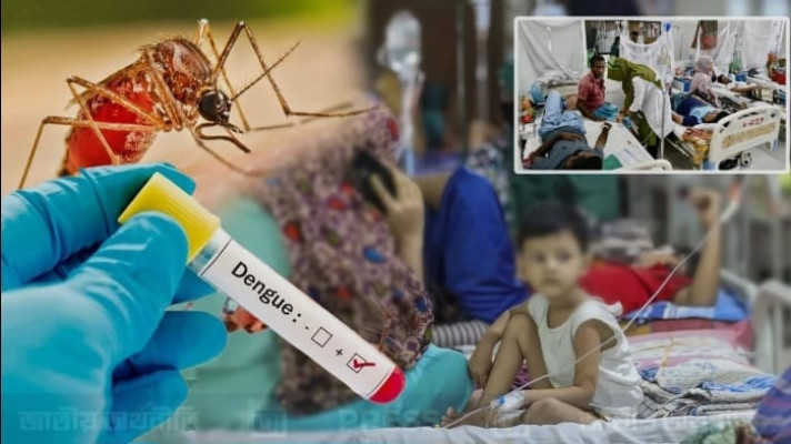 ডেঙ্গুতে একদিনে আরও ৮ জনের মৃত্যু, মোট প্রাণহানি বেড়ে ২১৯ 