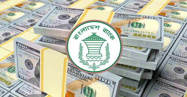 ২৮ দিনে রেমিট্যান্স এলো ২৫৩ কোটি ২০ লাখ ডলার