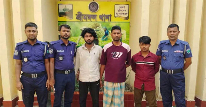 মৌলভীবাজারে কিশোরীকে তুলে নিয়ে রাতভর সংঘবদ্ধ ধর্ষণ, গ্রেফতার ৩