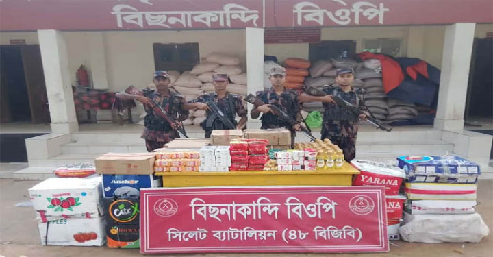সিলেট সীমান্তে ৩২ লাখ টাকার ভারতীয়  চোরাচালানি মালামাল জব্দ
