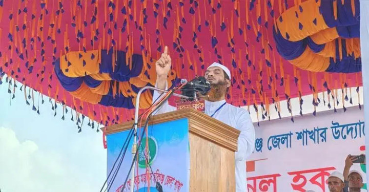 বিএনপি ইতিহাসে গাদ্দার হিসেবে চিহ্নিত হবে: হবিগঞ্জে মামুনুল হক