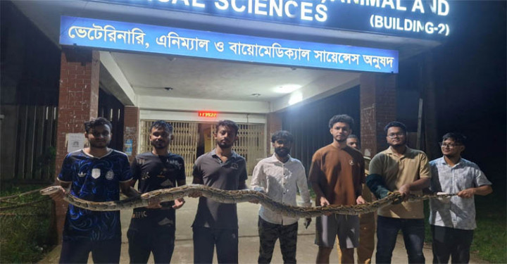 সিলেটে ১২ ফুট লম্বা অজগর সাপ উদ্ধার