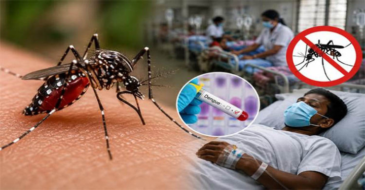 ডেঙ্গুতে আরও ৪ জনের মৃত্যু, আক্রান্ত ছাড়াল ১ লাখ
