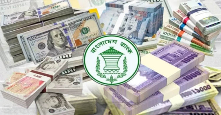 ১২ দিনে এলো ১২৯ কোটি ডলার রেমিট্যান্স 