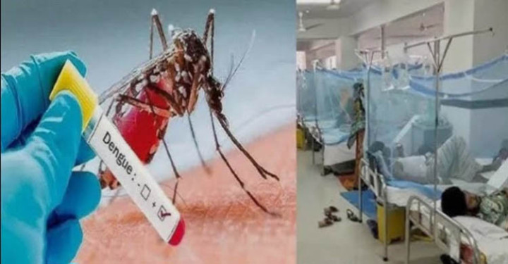 ডেঙ্গুতে আরও ৯ জনের মৃত্যু