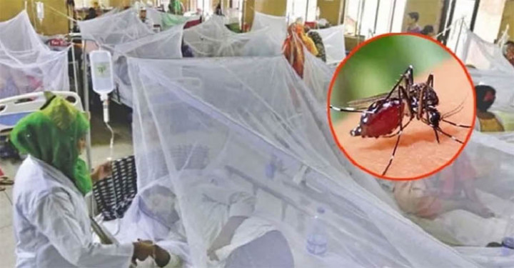 ডেঙ্গুতে আর ৫ মৃত্যু, হাসপাতালে ভর্তি ১৯২০