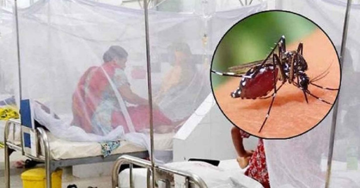 ডেঙ্গুতে আরও ৪ জনের মৃত্যু, একদিন হাসপাতালে ভর্তি ১১৮১