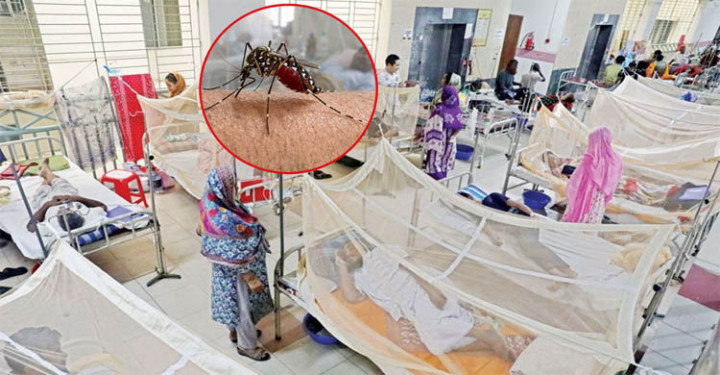 ডেঙ্গুতে আরও ৪ জনের মৃত্যু