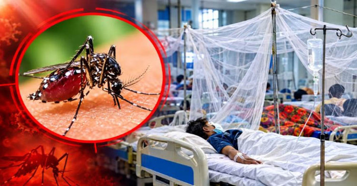 ডেঙ্গুতে আরও ৬ জনের মৃত্যু