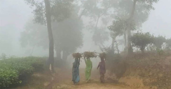 শ্রীমঙ্গলে ভোরের কুয়াশায় নতুন রূপ চা-বাগানে