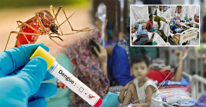 ডেঙ্গুতে আরও ৭ জনের মৃত্যু