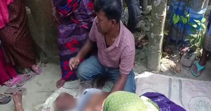 বড় ভাইয়ের হাতে ছোট ভাই খুন
