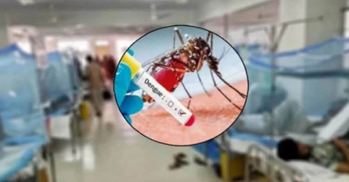 ডেঙ্গুতে ৬ জনের মৃত্যু, হাসপাতালে নতুন রোগী ১৮৮৬